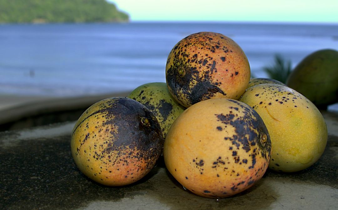 Fresh Mango Mojito Recipe - Sweet & Saucy