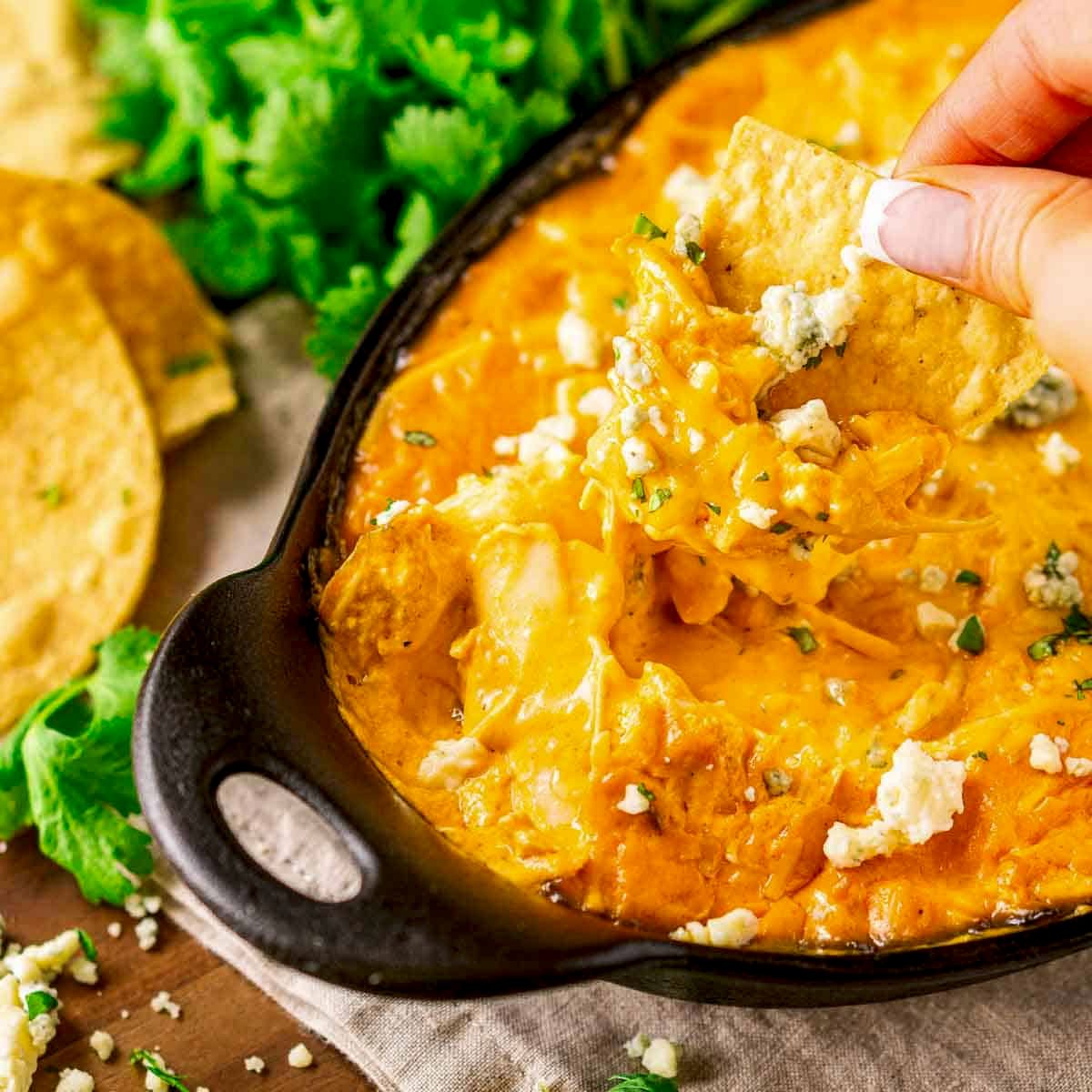 Smoked Buffalo Chicken Dip Recipe - Sweet & Saucy