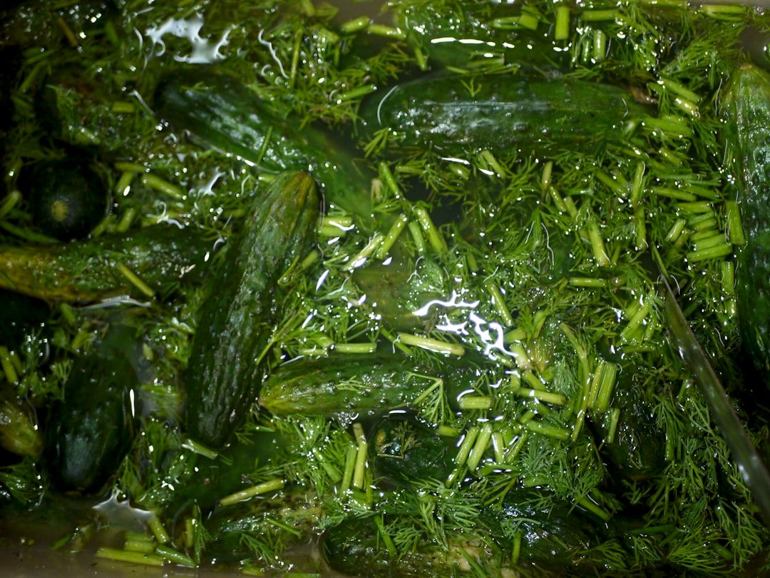 Spring Kale & Cucumber Salad | Honey-Ginger Dressing Recipe - Sweet & Saucy